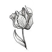 Mi Proyecto del curso: Tatuaje botánico con puntillismo. Un progetto di Illustrazione tradizionale, Design di tatuaggi, Illustrazione botanica e Design di Celeste Marina Fasio - 02.04.2022