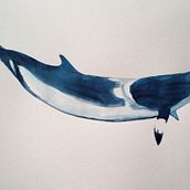 Mi Proyecto del curso: Técnicas de ilustración naturalista: ballenas en acuarela. Un proyecto de Ilustración tradicional, Diseño de carteles, Ilustración digital y Manga de Valentina Flores Calderón - 20.12.2021