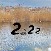 2022. Un progetto di Illustrazione tradizionale, Consulenza creativa, Design editoriale e Arte concettuale di Terlan Hacişəmiyev - 02.02.2020
