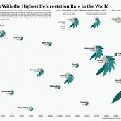 My project in Data Visualization and Information Design: Create a Visual Model course. Un projet de Design de l'information, Design d'interaction et Infographie de milena313 - 22.12.2021