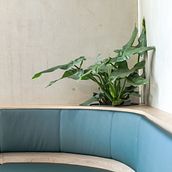 huisartspraktijk in groen. Interior Design, Interior Architecture, and Graphic Design project by Niki Clerx - 12.22.2021