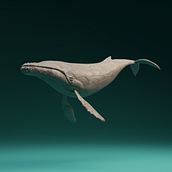 VR Whale Sculpting. Un proyecto de 3D y Modelado 3D de Jorda Moldes - 12.05.2021