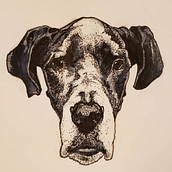 Sketchbook . Traditional illustration, Drawing, Gouache Painting, and Watercolor Painting project by Chase Ivany - 12.23.2021