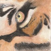 My project in Expressive Animal Portraits in Watercolor course. Traditional illustration, Watercolor Painting, Realistic Drawing, and Naturalistic Illustration project by Louise Duffett - 12.19.2021