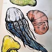 Mijn project van de cursus: Dagelijks schetsen als creatieve inspiratie. Traditional illustration, Sketching, Creativit, Drawing, and Sketchbook project by doornboozzje - 12.23.2021