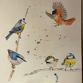 My project in Artistic Watercolor Techniques for Illustrating Birds course. Un progetto di Illustrazione tradizionale, Pittura ad acquerello, Disegno realistico e Illustrazione naturalistica di Teres D - 23.12.2021