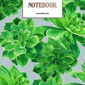 Il mio progetto del corso: Illustrazione botanica con acquerello. Un progetto di Illustrazione tradizionale, Belle arti, Pittura, Disegno, Pittura ad acquerello e Illustrazione botanica di Annalisa Ovi - 25.12.2021