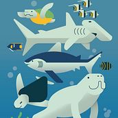 Costa Rican sea life. Final projecto // Ilustración vectorial: personalidad y color. Traditional illustration, Graphic Design, Vector Illustration, and Digital Illustration project by marvin_ocampo_art - 12.26.2021