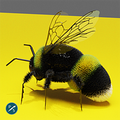 Bumble Bee. Un progetto di 3D di Phaedra Stevens - 27.12.2021