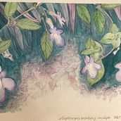 Mi Proyecto del curso: Técnicas de acuarela en negativo para ilustración botánica. Un proyecto de Ilustración tradicional, Pintura a la acuarela e Ilustración botánica de M Torres - 13.08.2021