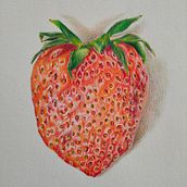 Strawberry. Traditional illustration, Pencil Drawing, Drawing, Naturalistic Illustration, and Colored Pencil Drawing project by Laura van der Pluijm - 08.08.2021