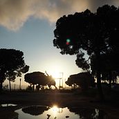 Mi Proyecto del curso: Fotografía móvil e identidad visual para  Instagram. Publicidade, Fotografia, Marketing, Redes sociais, Fotografia com celular, Fotografia do produto, Mobile Marketing, Instagram, Fotografia para Instagram, Fotografia Lifest, e le projeto de jotapacheco7 - 27.12.2021