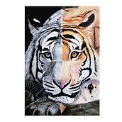 Tigre . Projekt z dziedziny R, sunek realist i czn użytkownika Mariem Hassani - 17.12.2021
