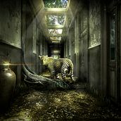 Mi Proyecto del curso: Invasión desde adentro. Photograph, Photograph, Post-production, VFX, Photo Retouching, Fine-Art Photograph, Photographic Composition, and Photomontage project by fabian_leandro90 - 12.24.2021