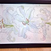 My project in Botanical Sketchbooking: A Meditative Approach course. Traditional illustration, Sketching, Drawing, Watercolor Painting, Botanical Illustration, and Sketchbook project by Giuliana Luminare - 12.28.2021