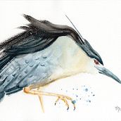 Il mio progetto del corso: Acquerelli naturalistici espressivi e con personalità. Un projet de Illustration traditionnelle, Aquarelle et Illustration naturaliste de Marianna Zuin - 28.12.2021