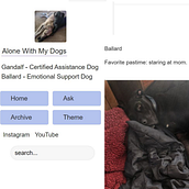 Narrative Blog. Writing, and Narrative project by Soleil Rintoul - 12.25.2021