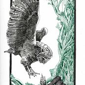 Hunting Owl. Projekt z dziedziny Trad, c i jna ilustracja użytkownika Afroditi Mavroeidi - 29.12.2021