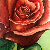 Alte Projekte. Traditional illustration project by Sonja Hans - 12.30.2021