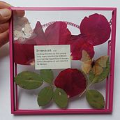 Meu projeto do curso: Técnicas básicas para prensar flores e plantas. Arts, Crafts, Fine Arts, Collage, DIY, Floral, and Plant Design project by João Nuno Oliveira - 12.30.2021