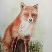 My project in Expressive Animal Portraits in Watercolor course. Traditional illustration, Watercolor Painting, Realistic Drawing, and Naturalistic Illustration project by Pamela Griffiths - 01.14.2022