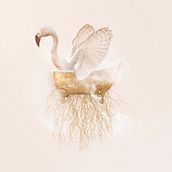 Imaginarios - Ladies. Traditional illustration, Collage, and Fine Arts project by Silvia Ojea - 12.30.2021