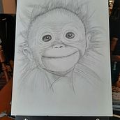 Singe au crayon de plomb. Pencil Drawing, and Traditional illustration project by Catherine - 12.30.2021