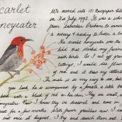 My Bird Journal Ein Projekt aus dem Bereich Aquarellmalerei von Ruth Sparrow - 31.12.2021