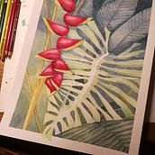 Mein Kursprojekt: Negative Aquarelltechniken zur botanischen Illustration. Traditional illustration, Painting, Watercolor Painting, and Botanical Illustration project by Cornelia - 01.02.2022