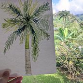 A couple sketches from a recent trip to Costa Rica. Traditional illustration project by wesleyelebeau - 01.02.2022