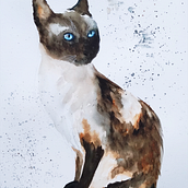 My project in Expressive Animal Portraits in Watercolor course. Traditional illustration, Watercolor Painting, Realistic Drawing, and Naturalistic Illustration project by Susanna Zema - 01.03.2022