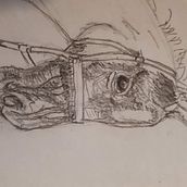 Mijn project van de cursus: Sketchbook met portretten: verken het menselijk gezicht. Projekt z dziedziny Sketching,  R, sunek, Portret,  R, sunek art, st, czn i Sketchbook użytkownika Andre Prins - 03.01.2022