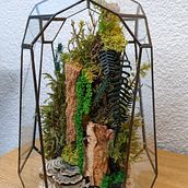 Mi Proyecto del curso: Creación de terrarios con la técnica Tiffany . % Jaime Lago Boza tarafından hazırlanan Aksesuar Tasarımı, İç Tasarım, Dekoras, on, Kendin Yap, Ve Çiçek ve Bitki Tasarımı projesi - 01.03.2022