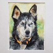 Mon projet du cours : Portraits expressifs d'animaux à l'aquarelle. Un progetto di Illustrazione tradizionale, Pittura ad acquerello, Disegno realistico e Illustrazione naturalistica di Guylaine Lafortune - 04.01.2022
