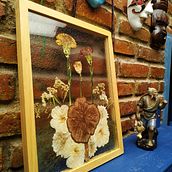 Mi Proyecto del curso: Técnicas básicas de prensado botánico . Arte și meșteșuguri, Arte plastice, Colaj, DIY și Design floral și de plante de Ligia Sarmiento - 01.04.2022