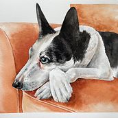 Animal Portraits & Xena. Traditional illustration, Watercolor Painting, Realistic Drawing, and Naturalistic Illustration project by Kelly K - 01.05.2022