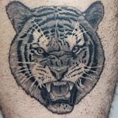 Tatuagem de Tigre. Tattoo Design project by Jimmy Dantas - 11.16.2021
