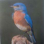 Mi Proyecto del curso: Técnicas experimentales de acuarela para principiantes. Un progetto di Illustrazione tradizionale, Belle arti, Pittura ad acquerello e Illustrazione naturalistica di Francisco Garate Caceres - 05.01.2022