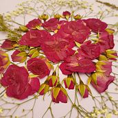 Meu projeto do curso: Técnicas básicas para prensar flores e plantas. Een project van Craft,  Beeldende kunst, Collage, DIY y Bloem- en plantenschikken van Lia Martucci de Amorim - 22.12.2021