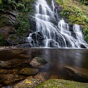 Nature. Een project van Fotografie y Digitale fotografie van João Paulo de Oliveira Freitas - 06.01.2022