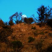 Mi Proyecto del curso: Fotografía de paisaje y naturaleza. Photograph, Outdoor Photograph, Instagram Photograph, Documentar, Photograph, and Photographic Composition project by benjamin pino lavin - 01.07.2022