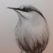 Mon projet du cours : Techniques artistiques d'aquarelle pour illustrer les oiseaux. Traditional illustration, Watercolor Painting, Realistic Drawing, and Naturalistic Illustration project by valerie oberrieder - 01.02.2022