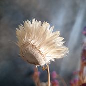 Mein Kursprojekt: Erstellung und Bearbeitung von Inhalten für Instagram Stories. Un projet de Réseaux sociaux, Photographie smartphone, Marketing digital, Photographie numérique, Instagram, Photographie pour Instagram, Marketing mobile, Marketing de contenu, Marketing pour Instagram, Photographie lifest , et le de Anita - 07.01.2022