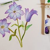 Meu projeto do curso: Aquarela botânica: ilustre a anatomia das flores. Un progetto di Illustrazione tradizionale, Belle arti, Pittura, Disegno, Pittura ad acquerello e Illustrazione botanica di juliamaior - 14.01.2022