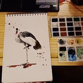 My project in Artistic Watercolor Techniques for Illustrating Birds course. Traditional illustration, Watercolor Painting, Realistic Drawing, and Naturalistic Illustration project by Anete Šteinerte - 01.08.2022