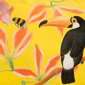 Toucan. Traditional illustration project by Wies van Wieringen - 01.08.2022