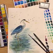 My project in Artistic Watercolor Techniques for Illustrating Birds course. Traditional illustration, Watercolor Painting, Arts, Crafts, and Painting project by Adam Kyprý - 01.08.2022