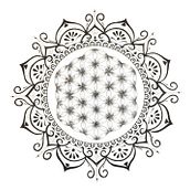 My project in The Art of Mandala Drawing: Create Geometric Patterns course. Drawing & Ink Illustration project by Marjanca Vergan - 01.09.2022