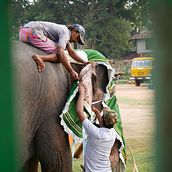 The Masked Elephants. Un progetto di Fotografia, Fotografia documentaria, Narrativa, Stor e telling di Lucy Fulford - 09.01.2022