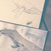 My project in Naturalist Illustration Techniques: Whales in Watercolor course. Un progetto di Illustrazione tradizionale, Design di poster , Illustrazione digitale e Manga di Alexa - 09.01.2022